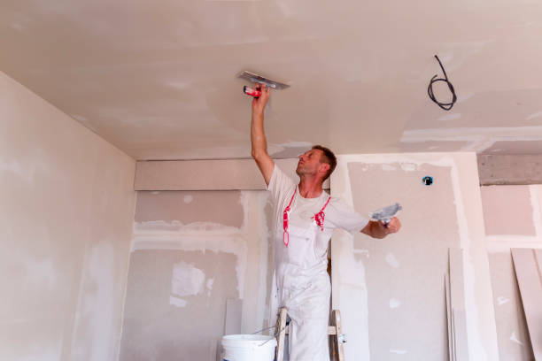 Reliable Silver Ridge, NJ Dry wall and painting Solutions