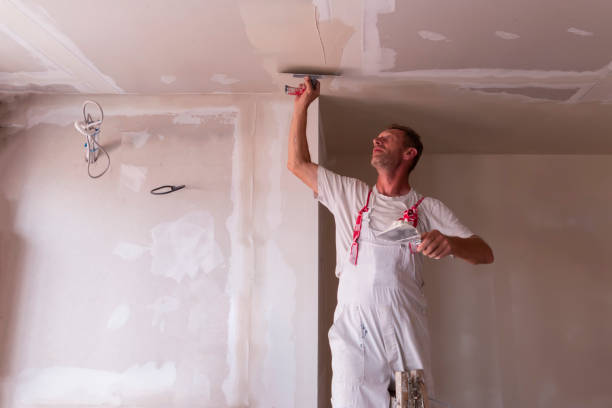 Best Drywall Sanding and Smoothing  in Silver Ridge, NJ