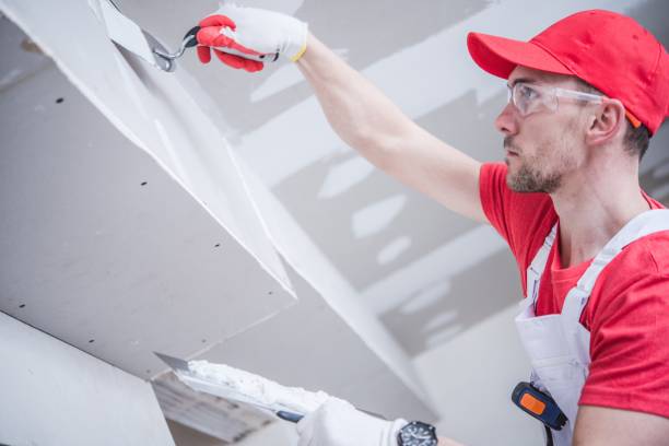 Best Ceiling Drywall Installation  in Silver Ridge, NJ